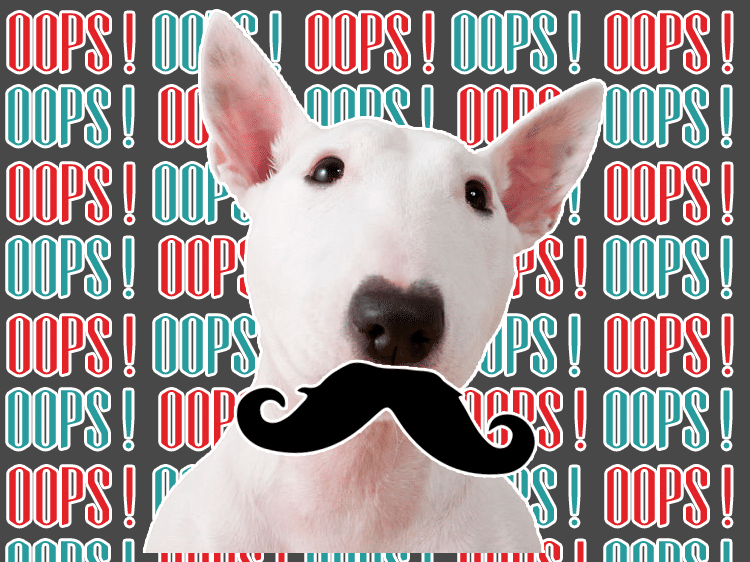 Image de Bull-terrier avec moustache
